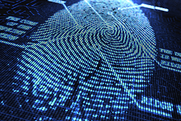 Digital Forensics thumbprint | Newberry Group